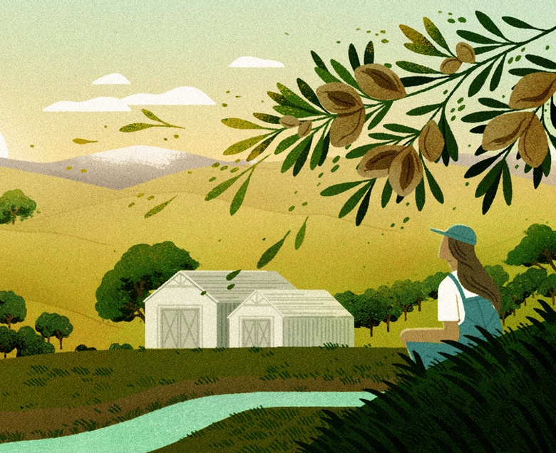 I coltivatori di mandorle si preparano al surriscaldamento globale